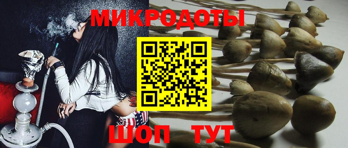 Горячий Ключ  сколько стоит  Псилоцибиновые грибы GOLDEN TEACHER  Вход с VPN  Галлюциногенные грибы мухоморы 