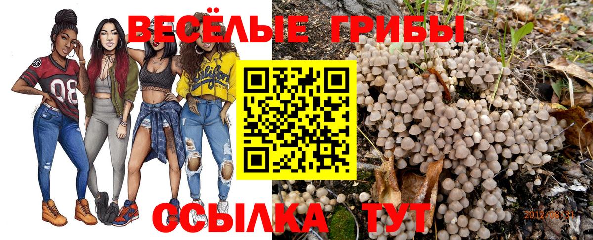 Галлюциногенные грибы мицелий Горячий Ключ
